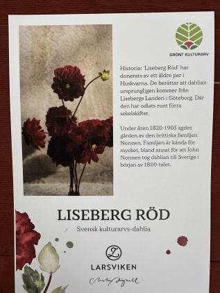 Kultursort- liseberg