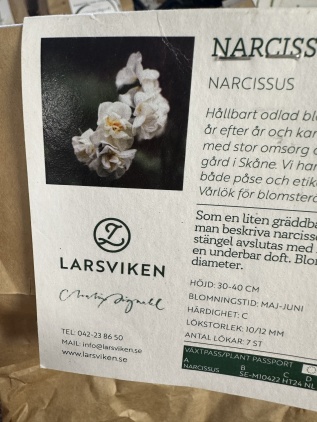 Narciss - Bridal Crown