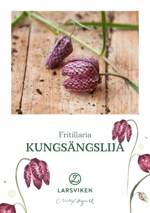 Kungsängslilja