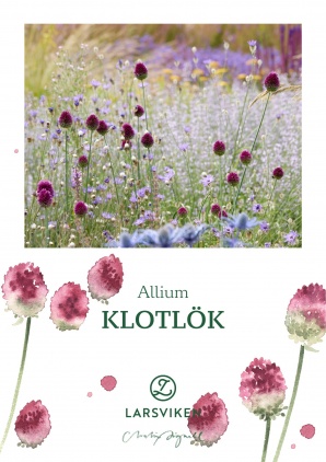 Klotlök