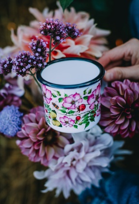 Emaljmugg - nyponros/kålfjäril