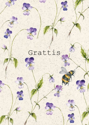 Vykort med styvmorsviol- grattis 