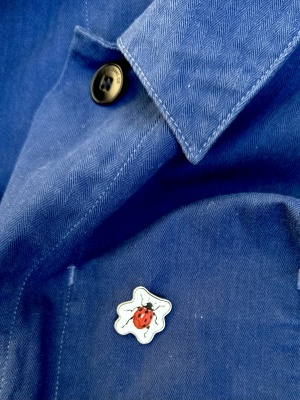 Metallpin nyckelpiga