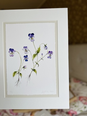 Numrerad upplaga om 10 st - styvmorsviol (alla är unika med påmålade blommor och knoppar) 