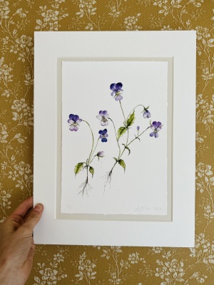 Numrerad upplaga om 10 st - styvmorsviol (alla är unika med påmålade blommor och knoppar) 