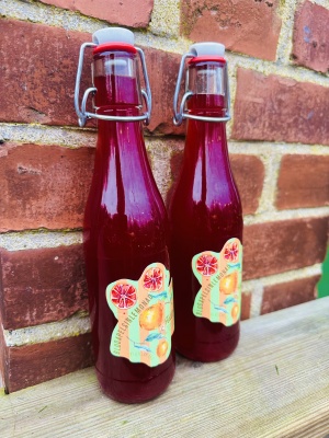 Blidspelsinsaft