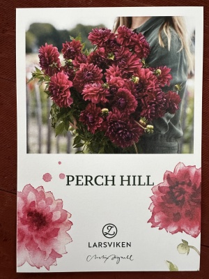 Pearch hill