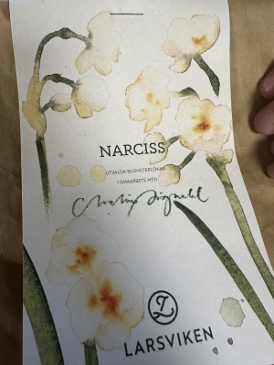 Narciss - Bridal Crown