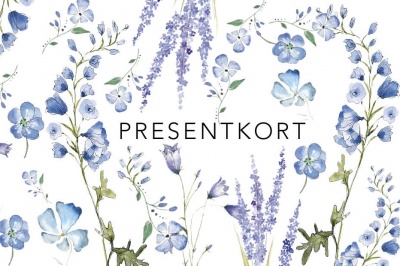 Presentkort till skolberget - 300kr