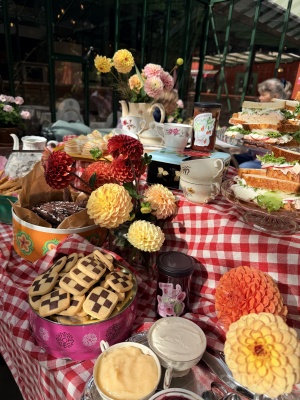 Afternoon tea 11/11