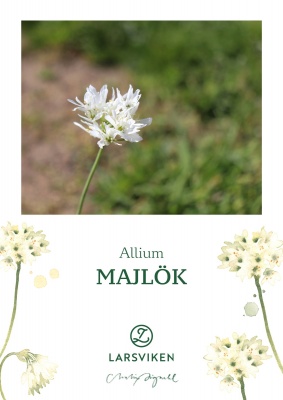 Majlök