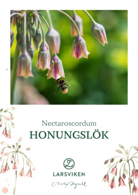 Honungslök